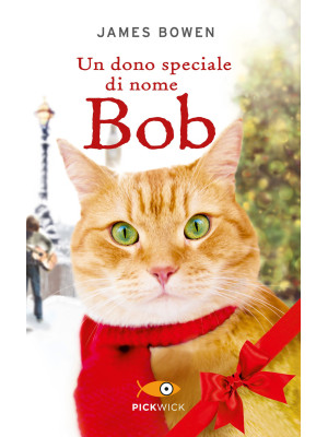 Un dono speciale di nome Bob