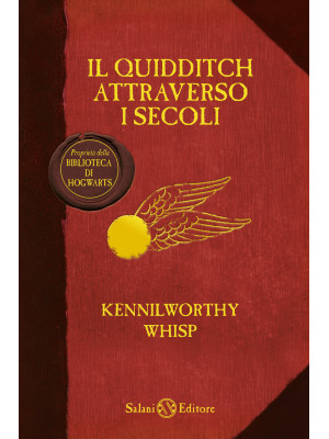 Il Quidditch attraverso i s...