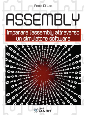 Assembly. Imparare l'assemb...