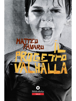 Il progetto Valhalla