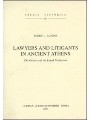 Lawyers and litigants in an...