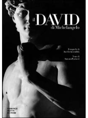 Il David di Michelangelo. E...