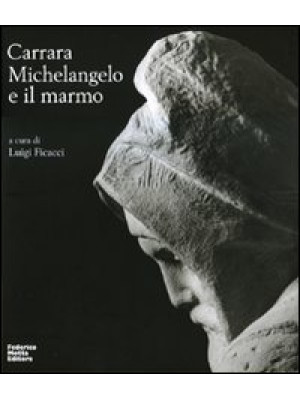 Carrara. Michelangelo e il ...