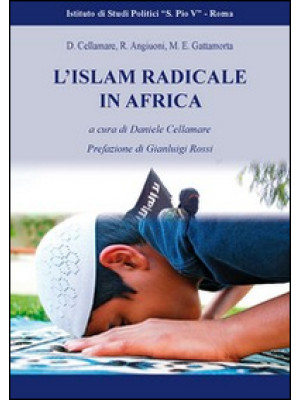 Islam radicale in Africa