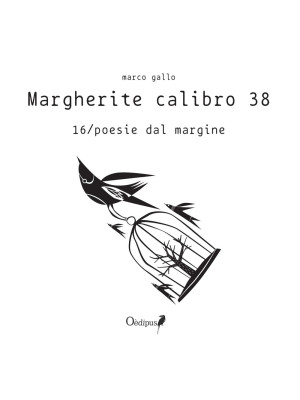 Margherite calibro 38. 16/p...