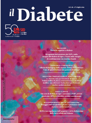 Il diabete. Vol. 26/2