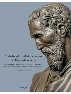 Michelangelo: l'effigie in ...