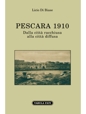 Pescara 1910. Dalla città r...