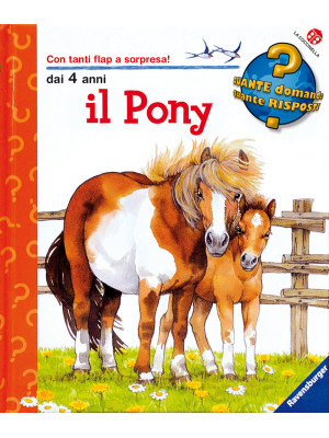 Il pony. Ediz. illustrata