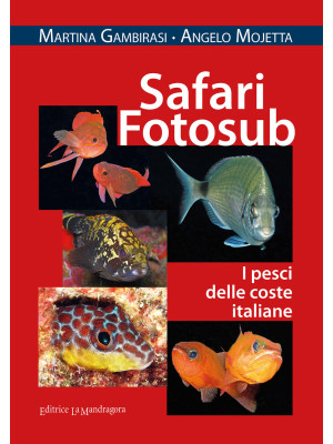 Safari fotosub. I pesci del...