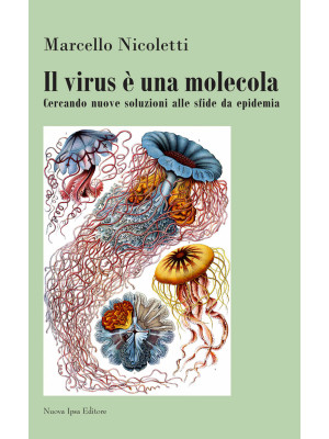 Il virus è una molecola