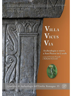 Villa Vicus Via. Archeologi...