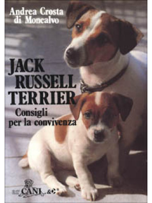 Jack Russell terrier. Consi...