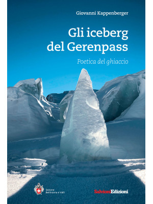 Gli iceberg del Gerenpass. ...