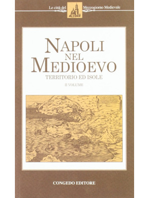 Napoli nel Medioevo. Vol. 2...