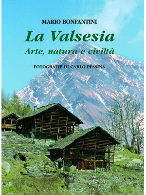 La Valsesia. Arte, natura e...