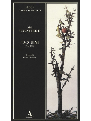 Taccuini 1960-1969