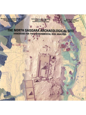 The north Saqqara archaelog...