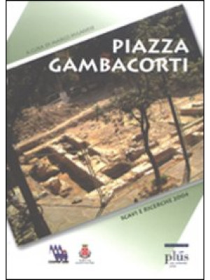 Piazza Gambacorti. Archeolo...