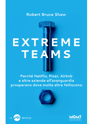 Extreme Teams. Perché Netfl...