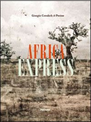Africa express. Ediz. illus...