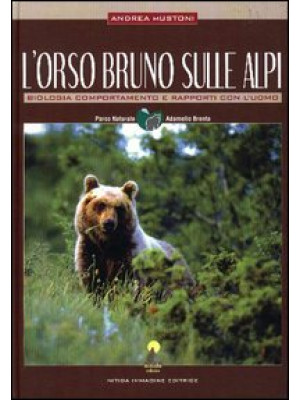 L'orso bruno sulle Alpi