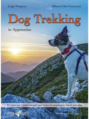 Dog trekking in Appennino. ...