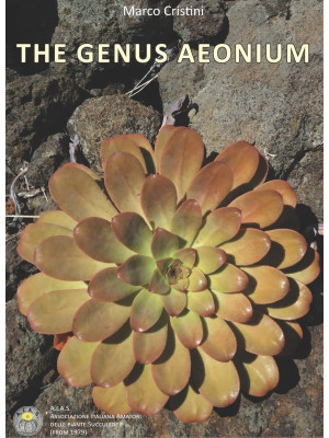 The genus aeonium