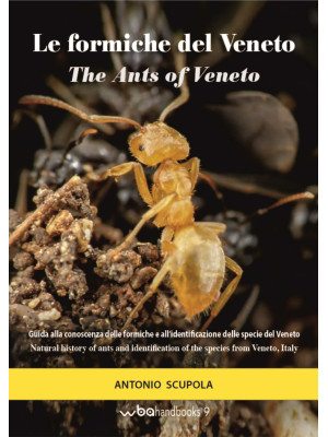 Le formiche del Veneto. Gui...