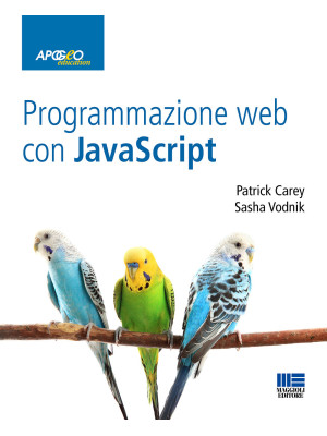 Programmazione web con Java...