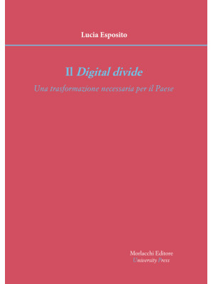 Il digital divide. Una tras...