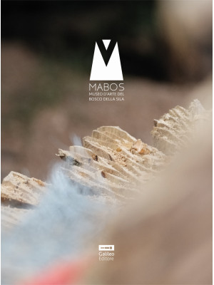 Il catalogo del Mabos. Arte...