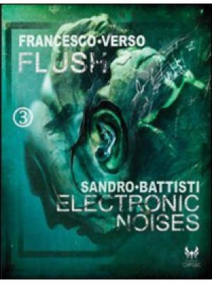 Flush-Electronic noises