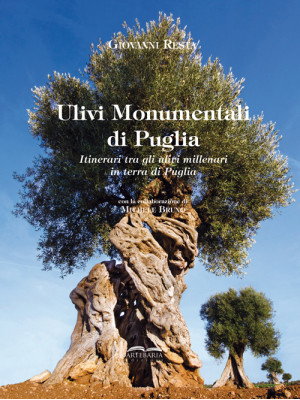Ulivi monumentali di Puglia...