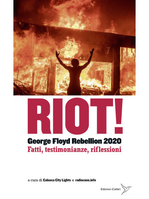 Riot! George Floyd rebellio...