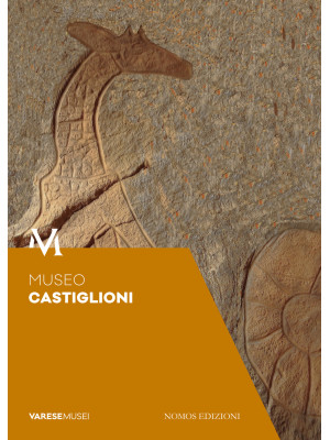 Museo Castiglioni. Guida