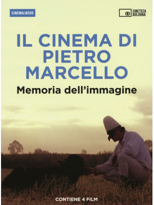 Il cinema di Pietro Marcell...