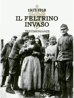 ll Feltrino invaso 1917-191...