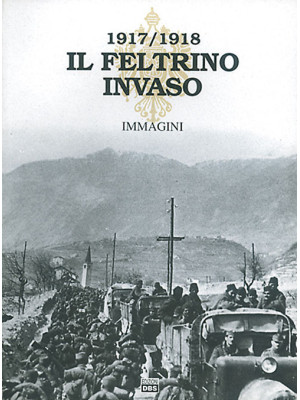 Il Feltrino invaso 1917-191...