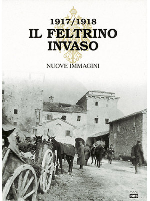 Il Feltrino invaso 1917-191...