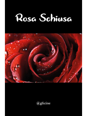 Rosa schiusa