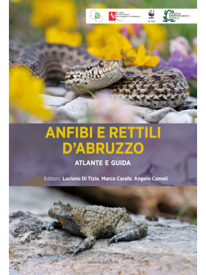 Anfibi e rettili d'Abruzzo....