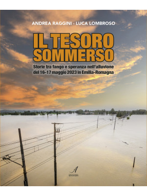 Il tesoro sommerso. Storie ...