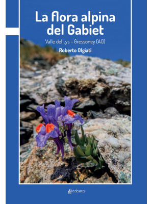 La flora alpina del Gabiet....