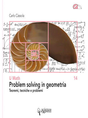 Problem solving in geometri...
