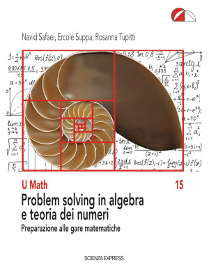 Problem solving in algebra ...