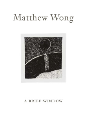 Matthew Wong: A Brief Windo...
