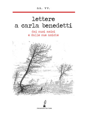 Lettere a Carla Benedetti. ...
