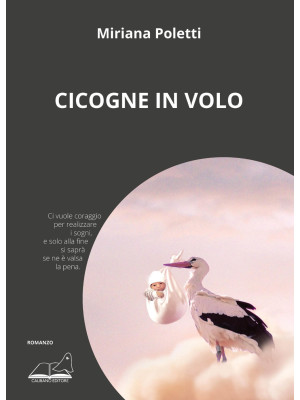 Cicogne in volo